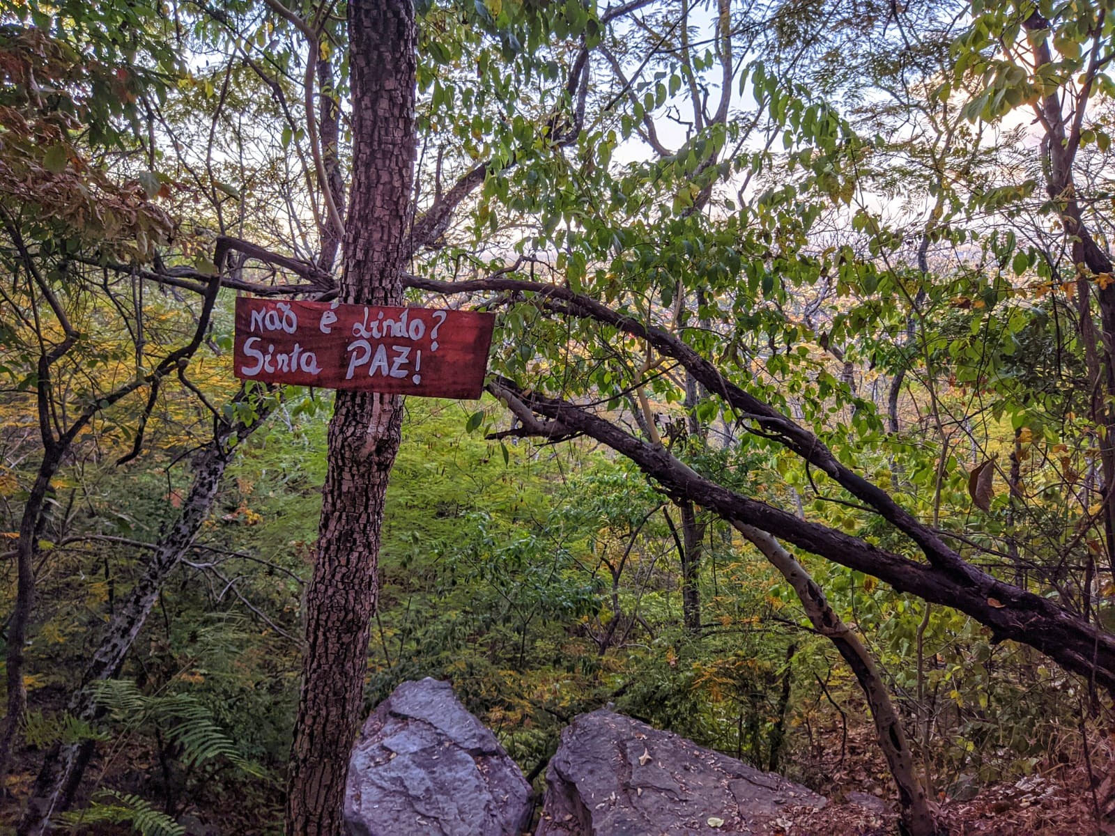 Pedra do Rei Leão