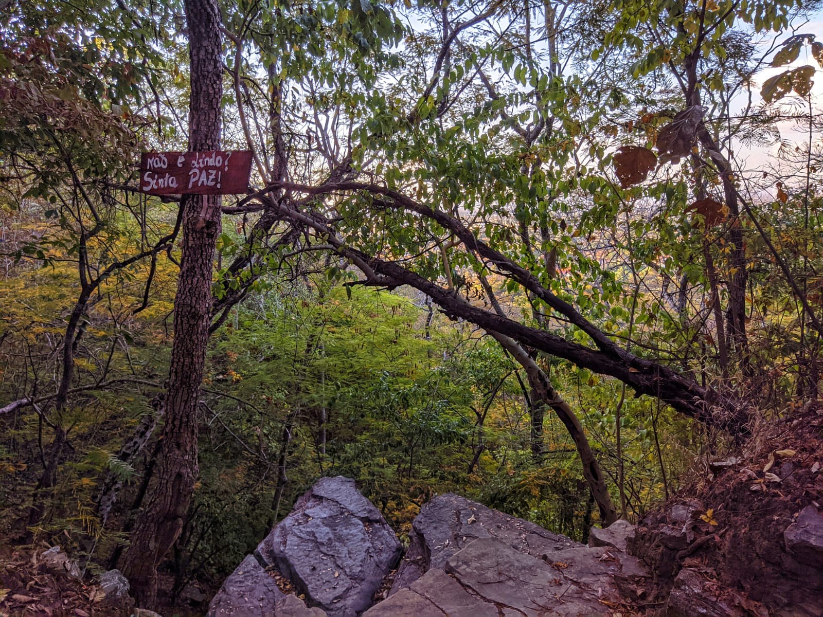 Pedra do Rei Leão
