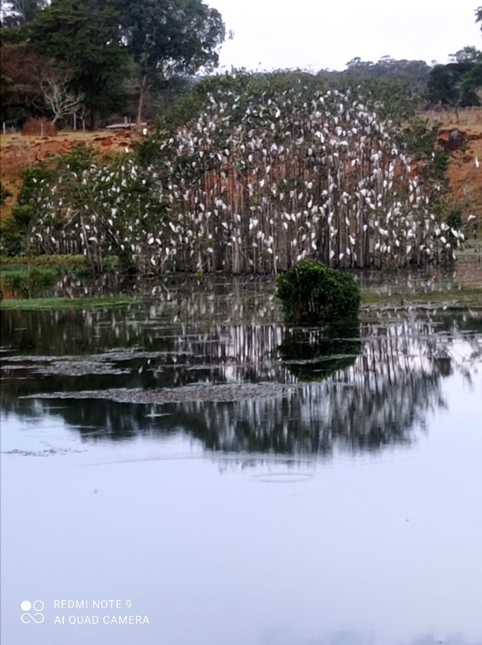 Lagoa do Soares