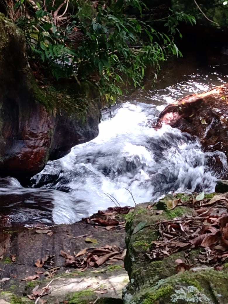 Cachoeira do Bosque