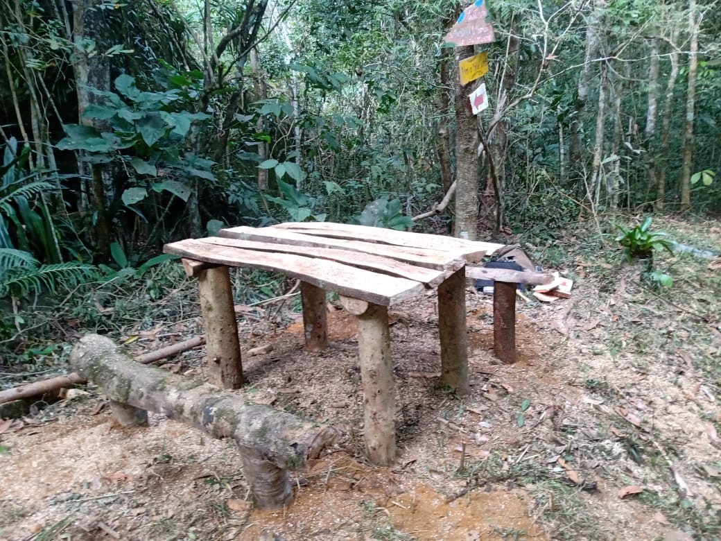 Trilha das Bromélias 