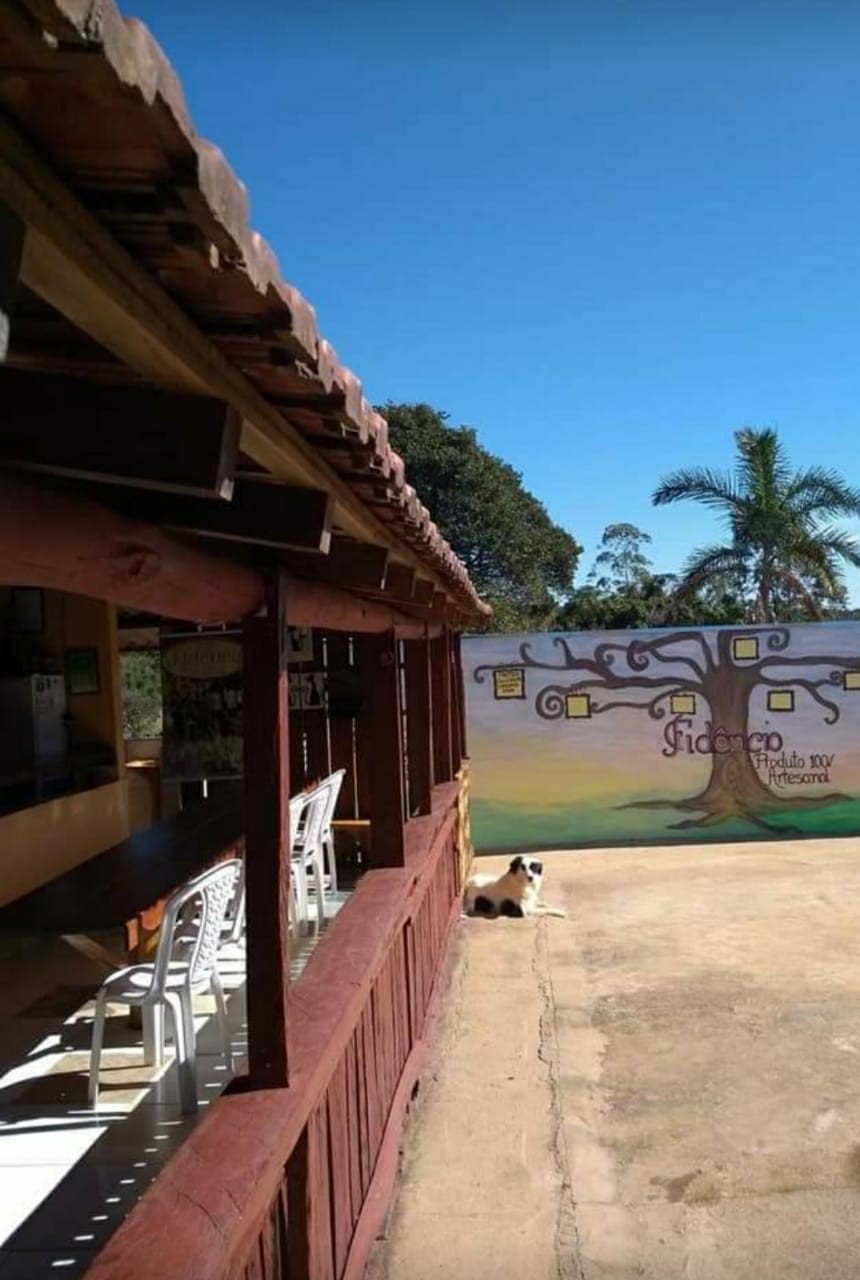 Uva e Vinho Fidêncio