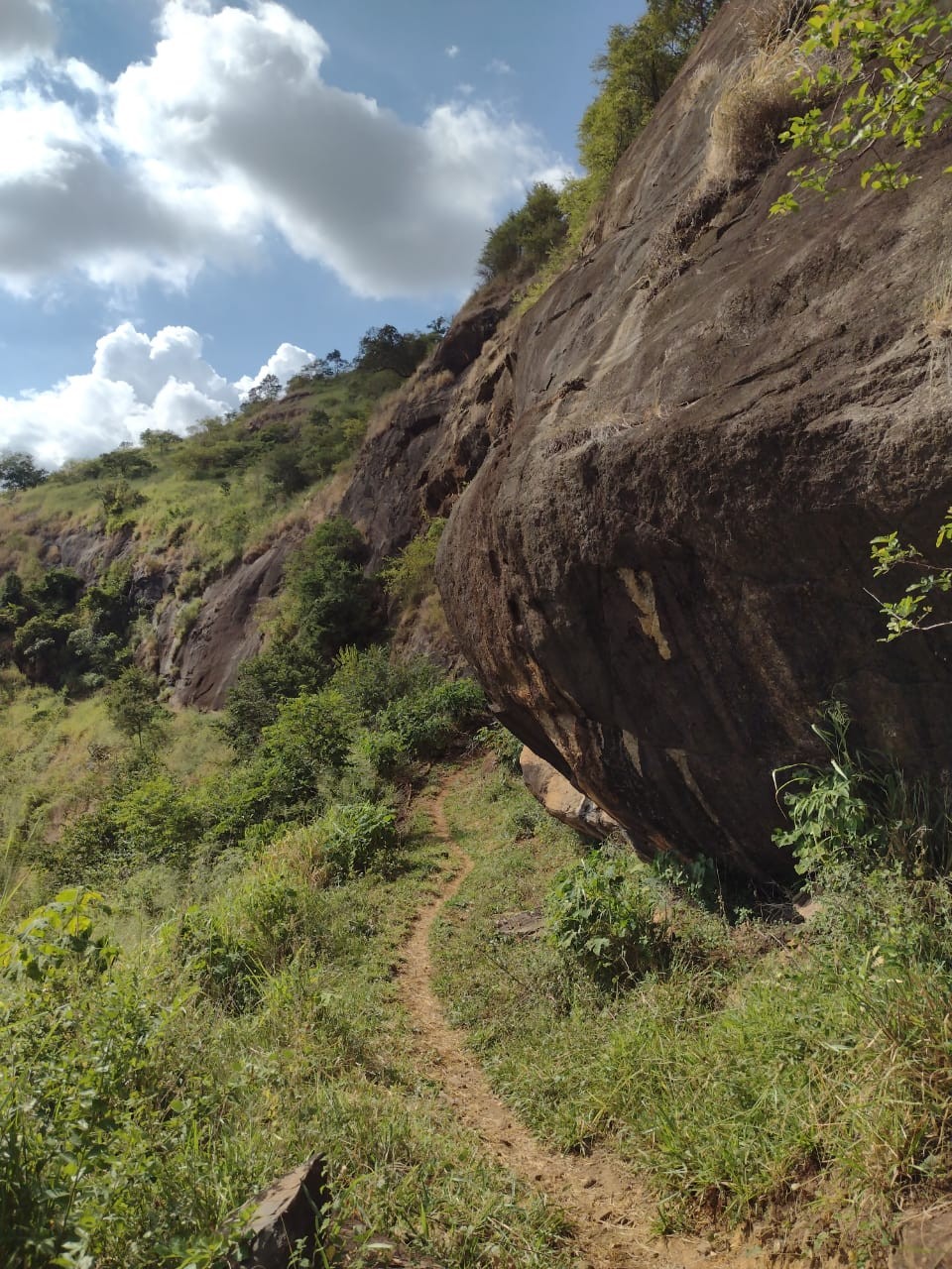 Pedra do Macaco