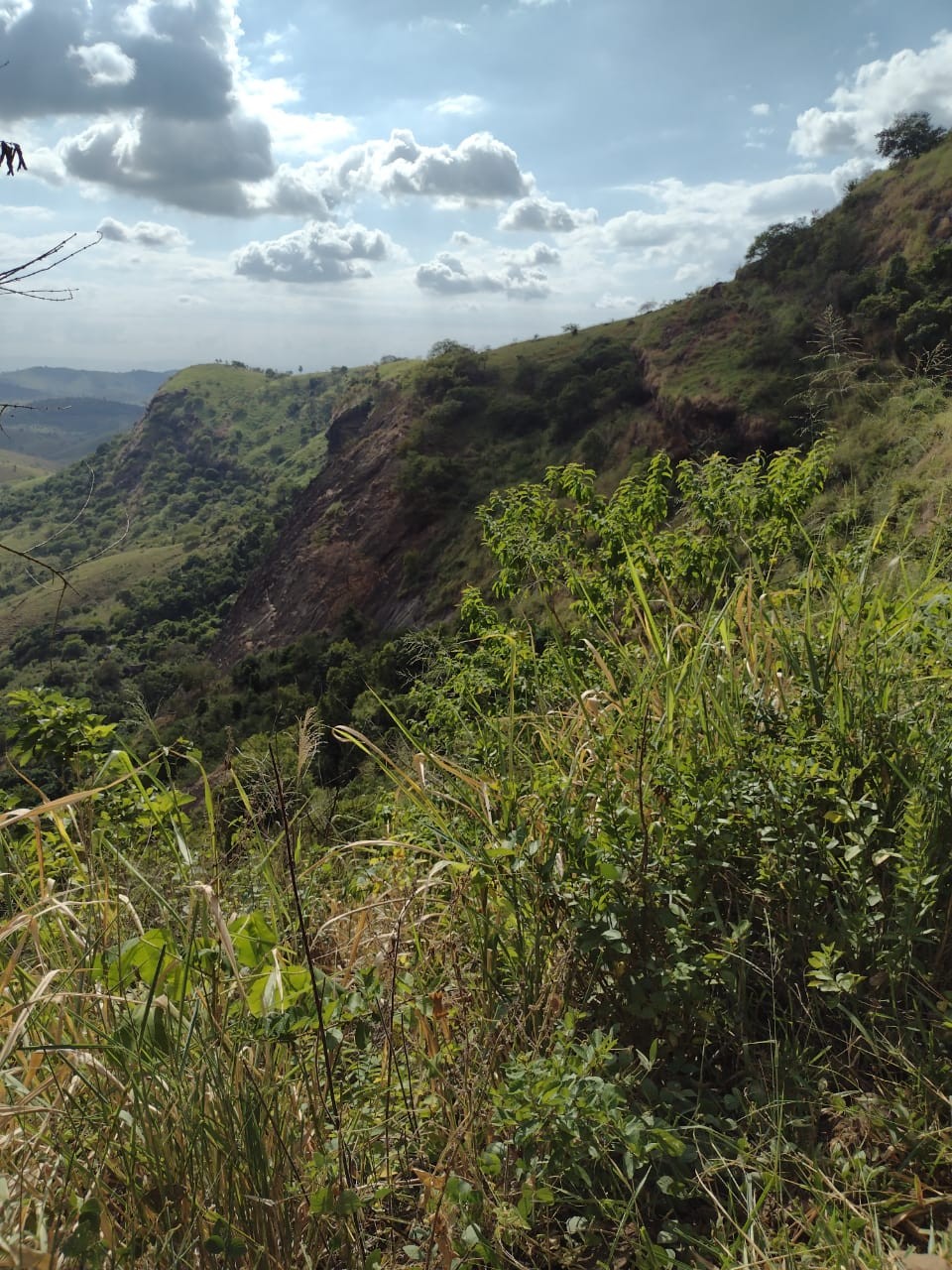 Pedra do Macaco