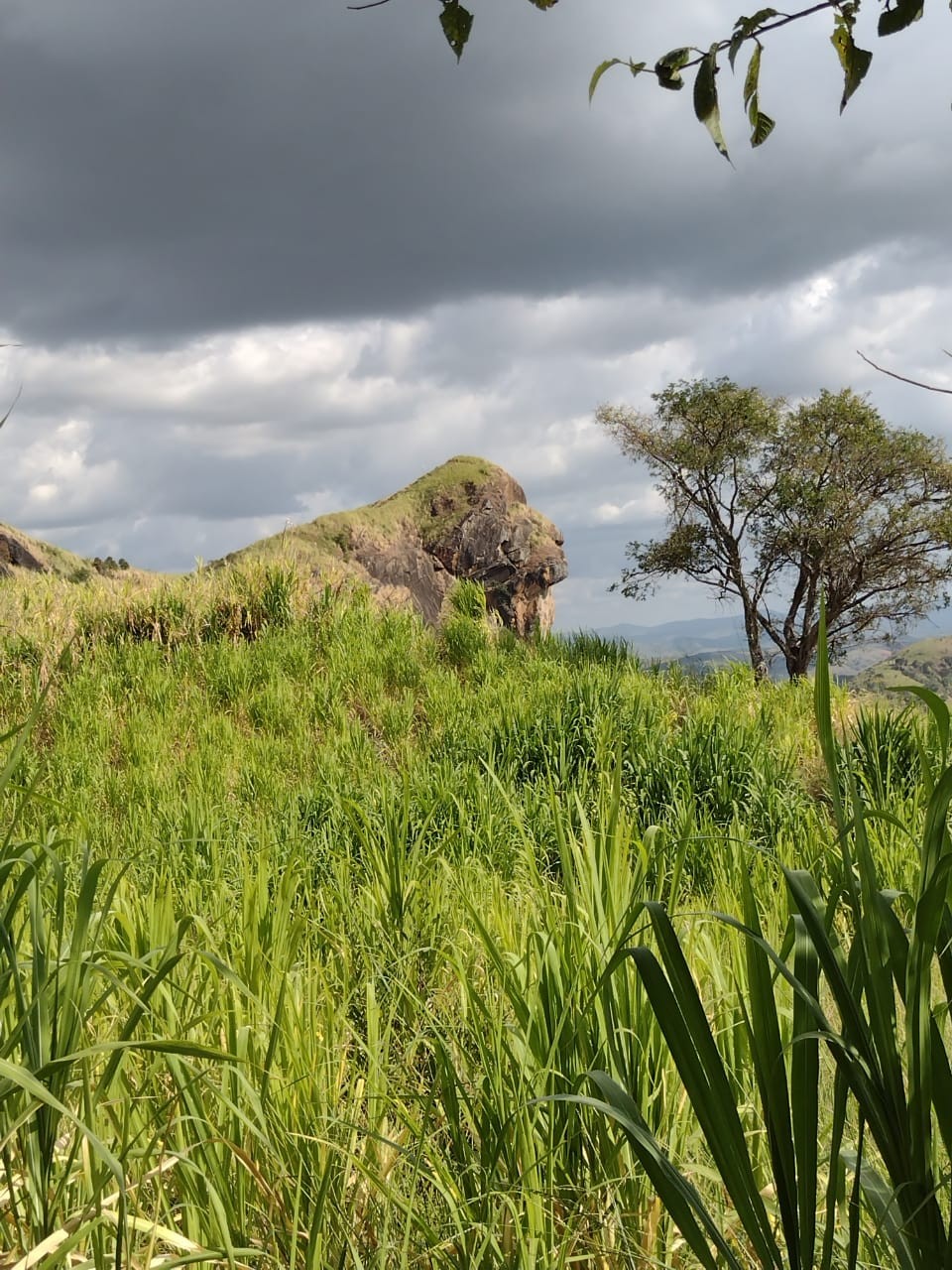 Pedra do Macaco