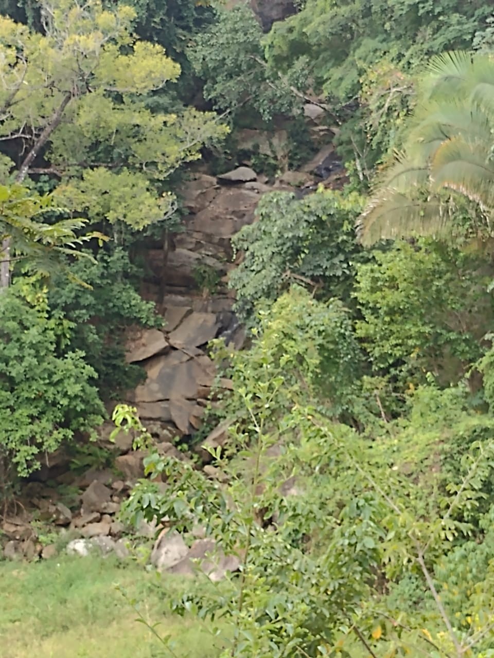 Cachoeira Córrego do Passarinho 