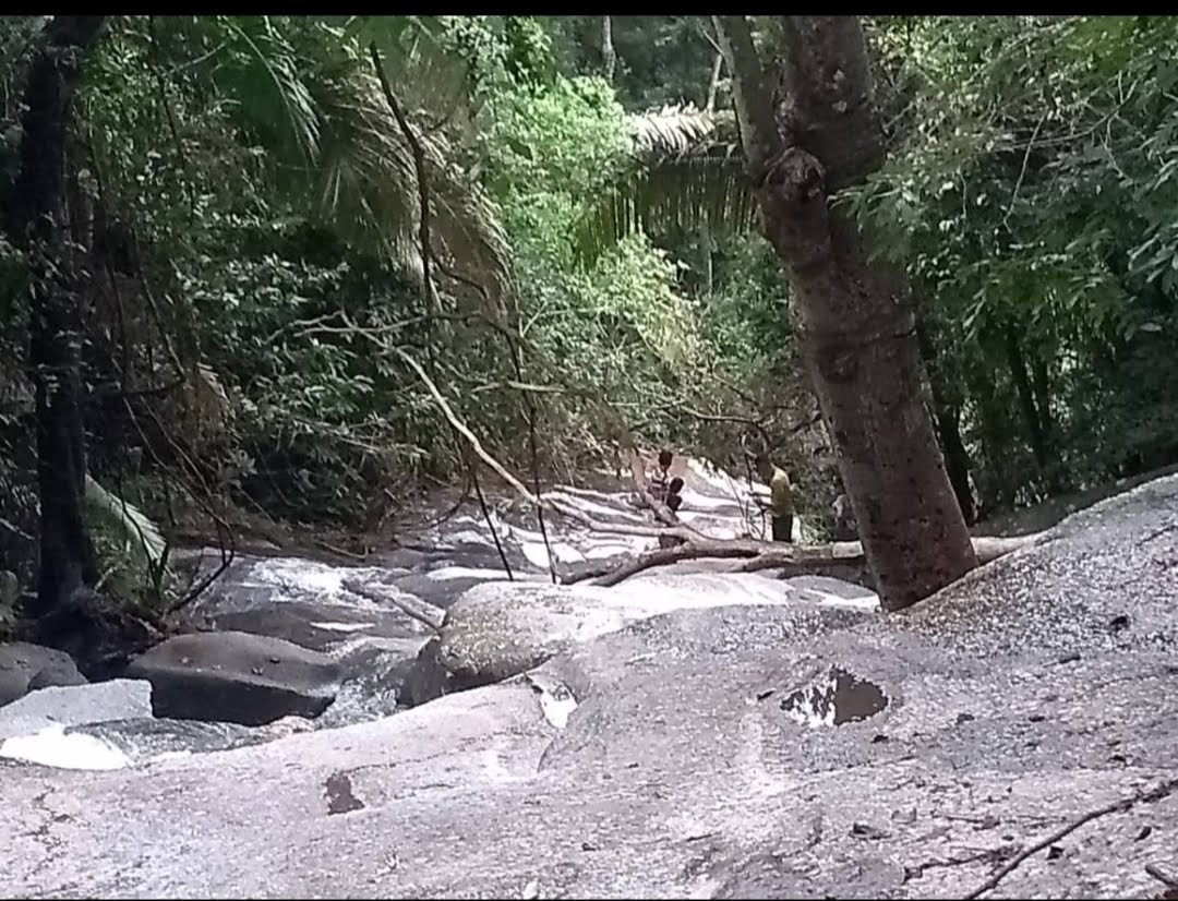 Cachoeira Córrego do Passarinho 