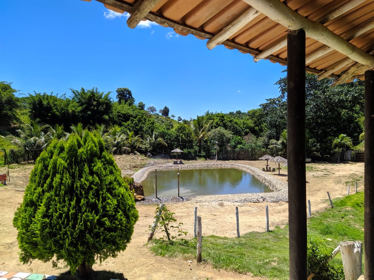 Pedras Clube de São João da Safira
