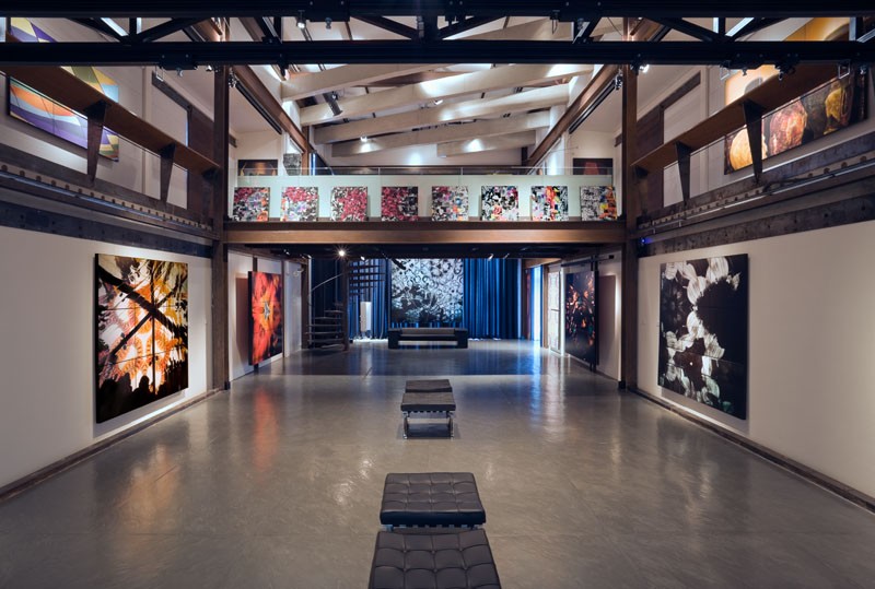 Studio Cícero Mafra 