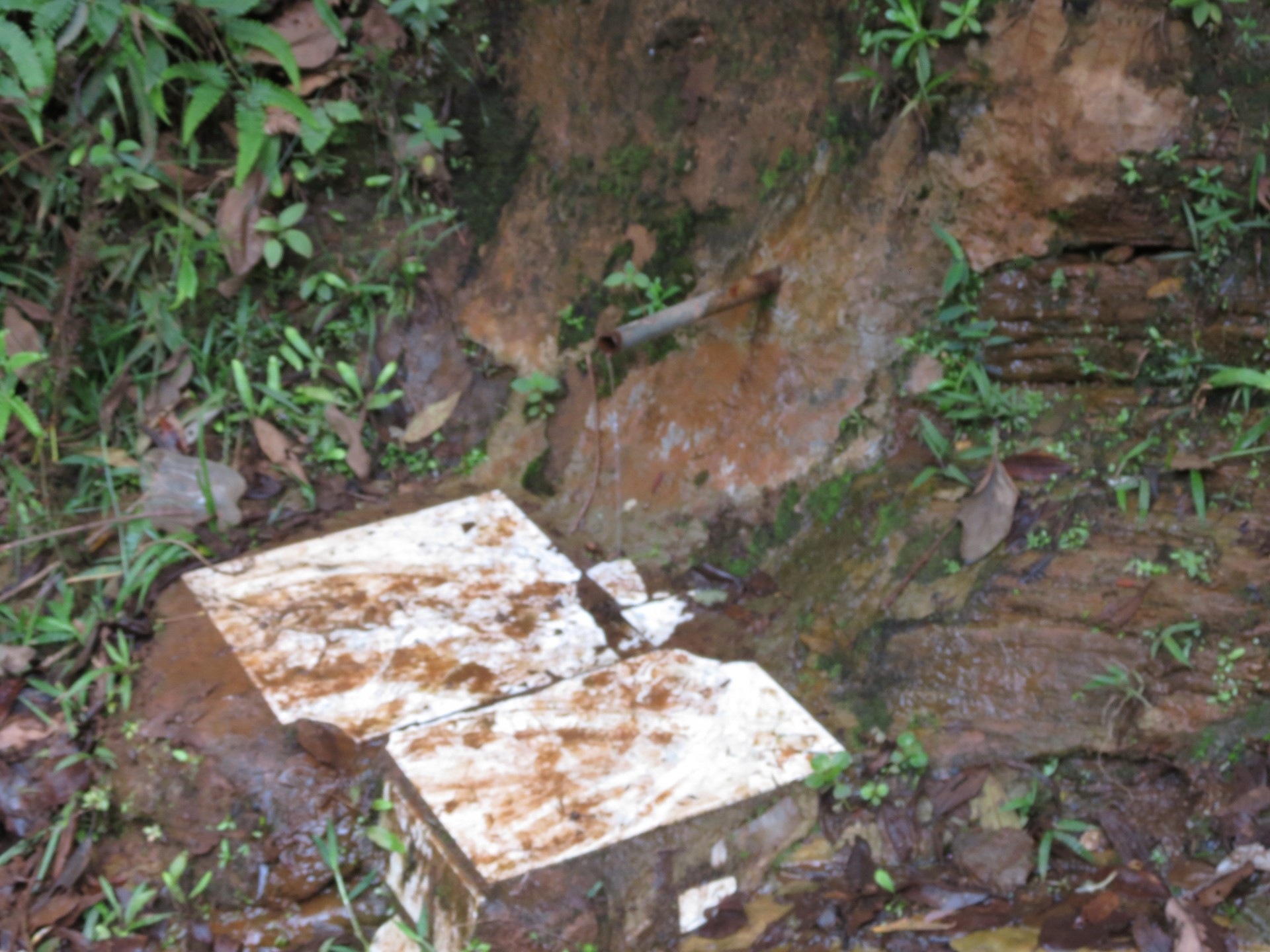 Água do João Bosco