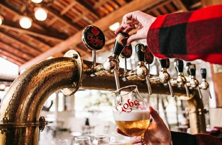 Cervejaria Loba