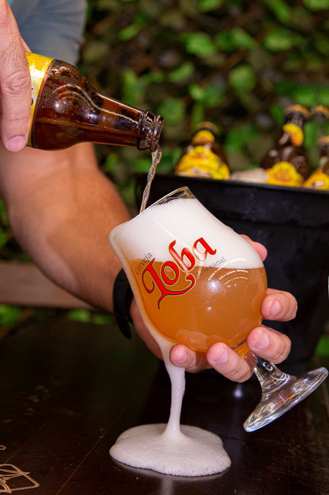 Cervejaria Loba