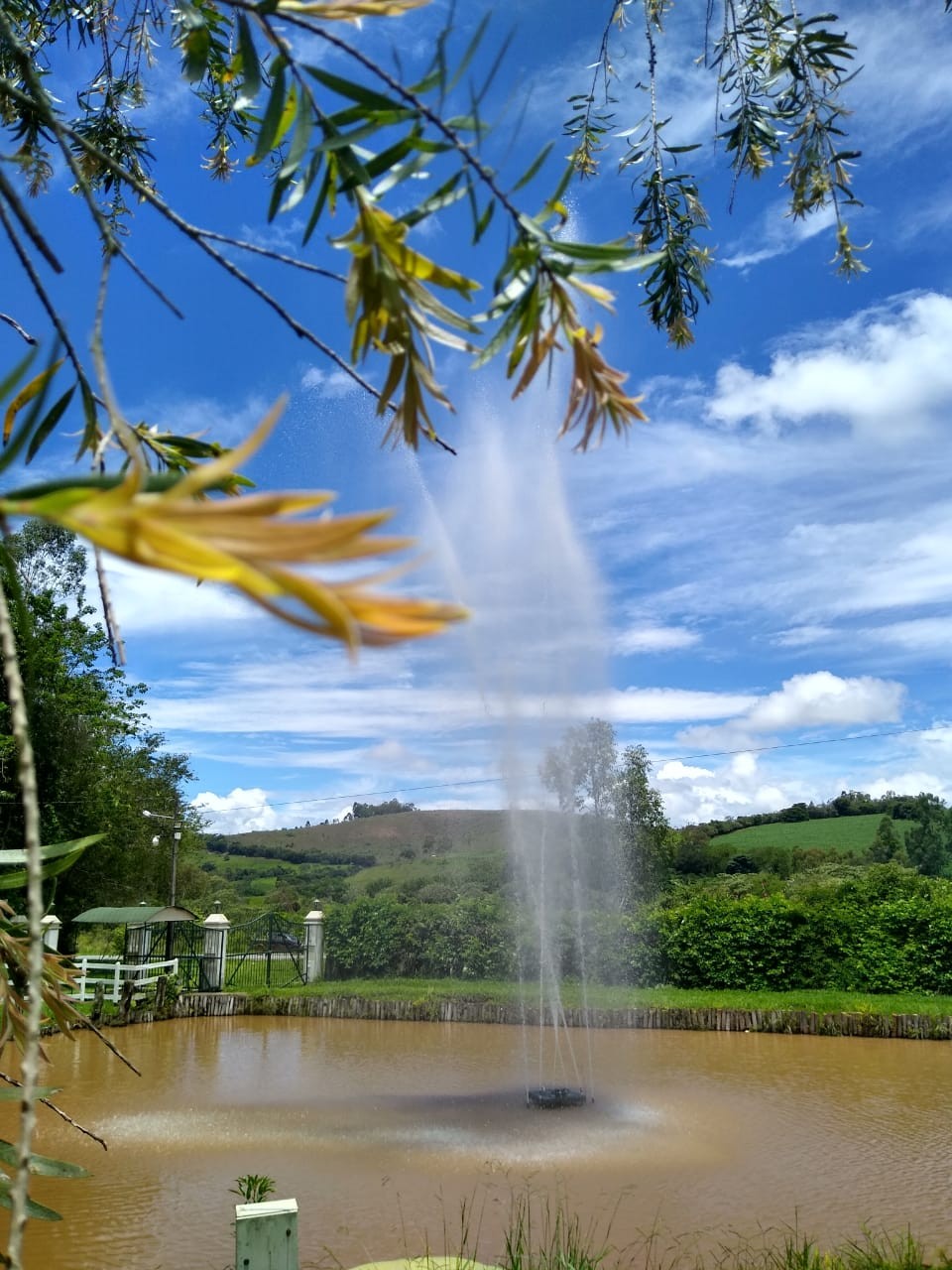 Pousada Golden Garden