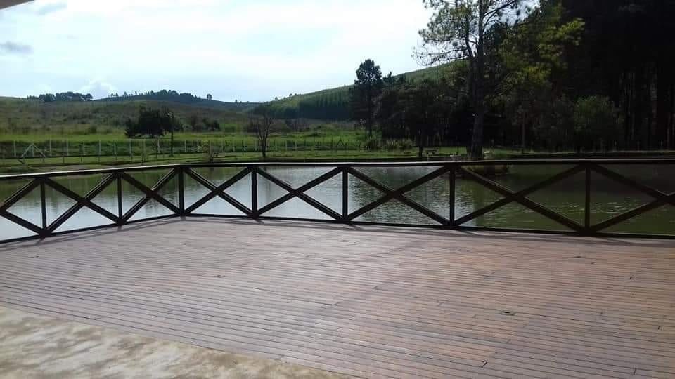 Clube da Uva 