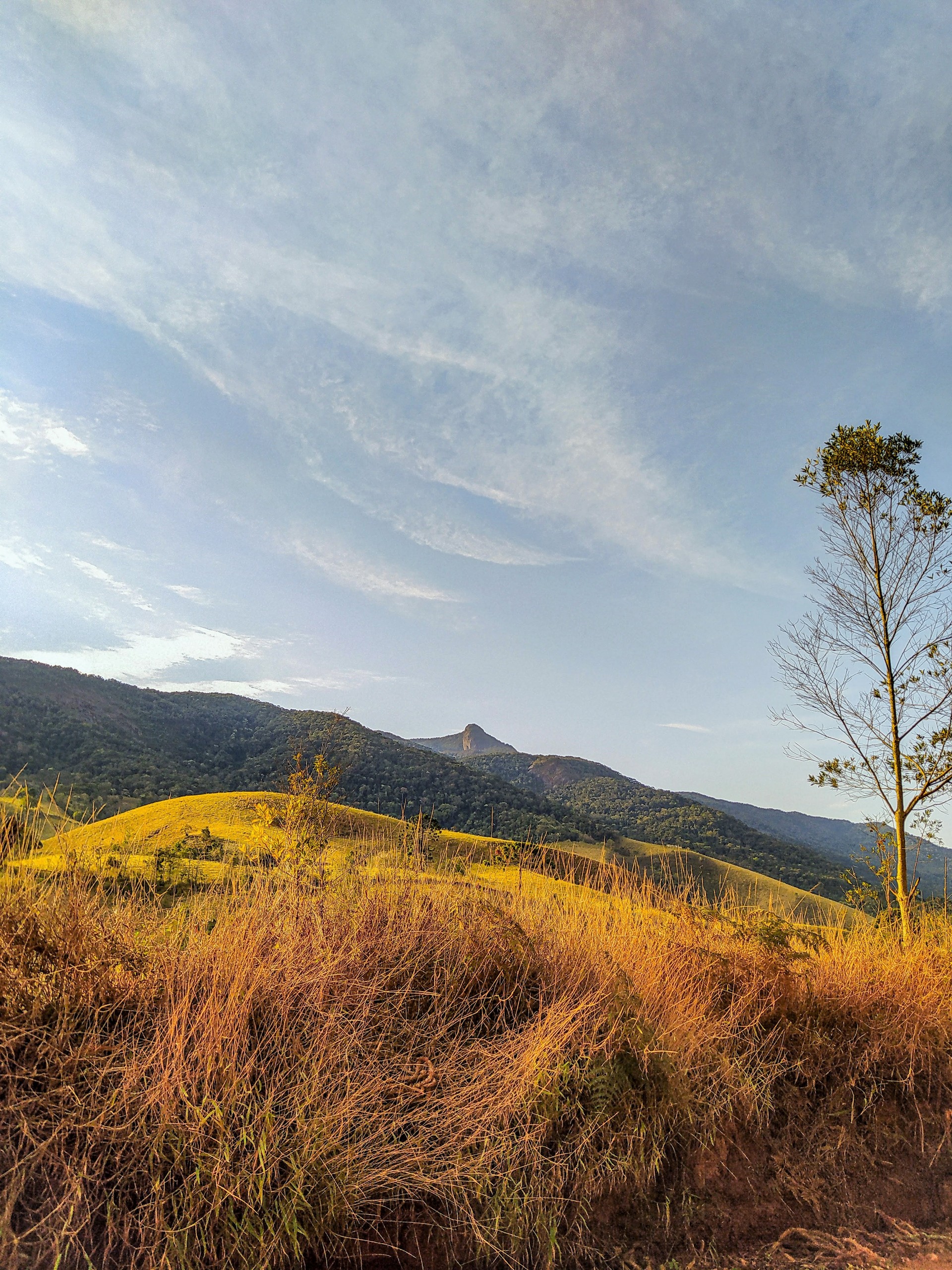 Pedra do Campestre