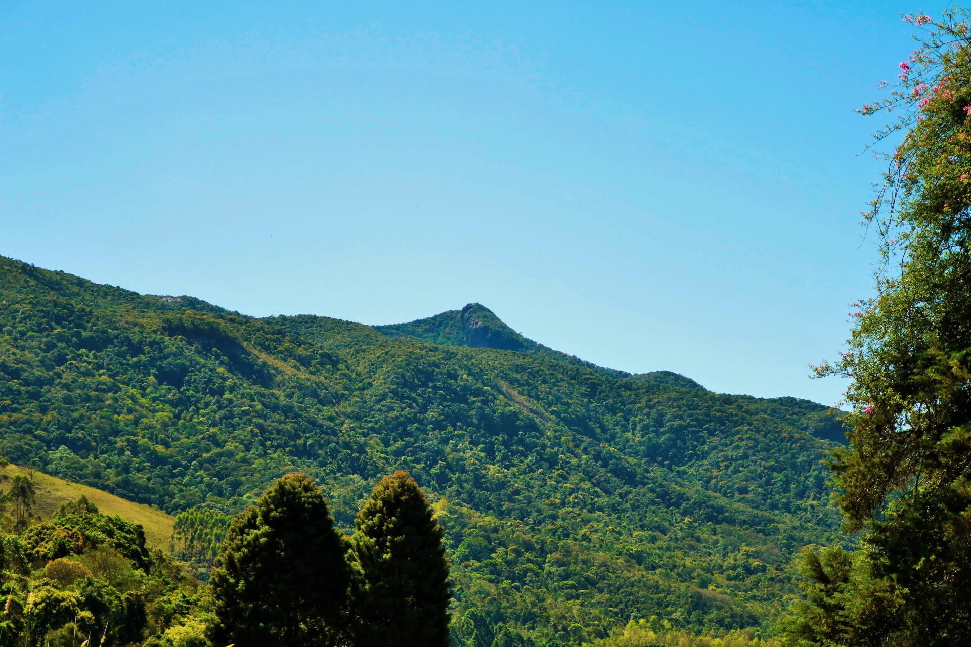 Pedra do Campestre