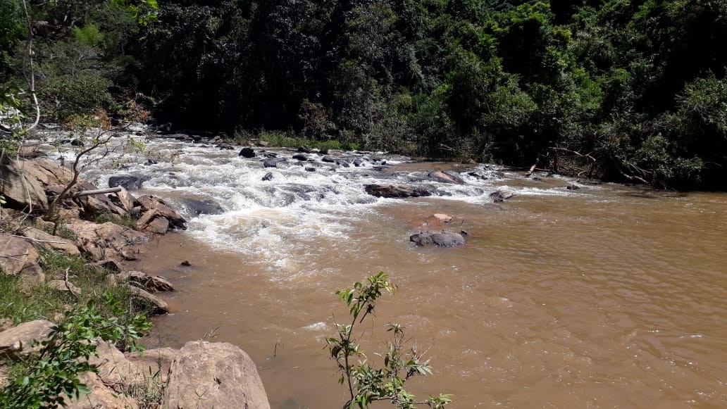 Areião