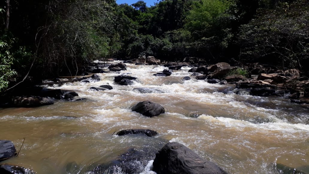 Areião