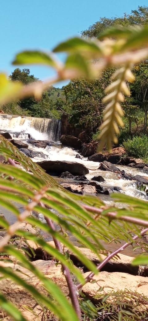 Casquinha