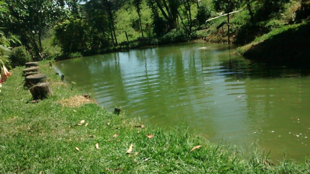 Pesqueiro do Flavinho
