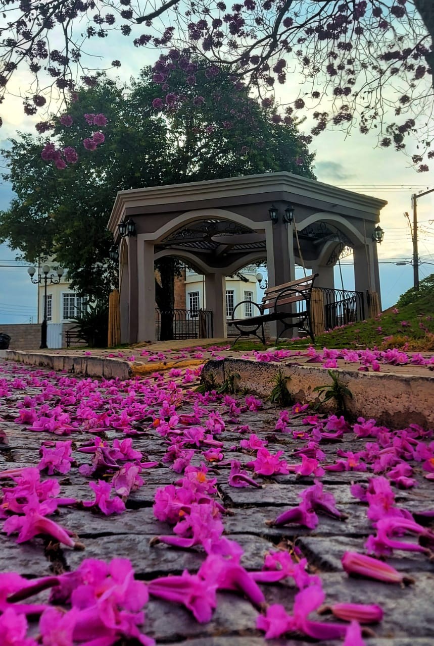 Praça Virgílio de Melo Franco