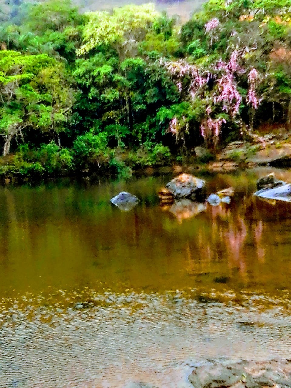 Rio Santo Antonio 