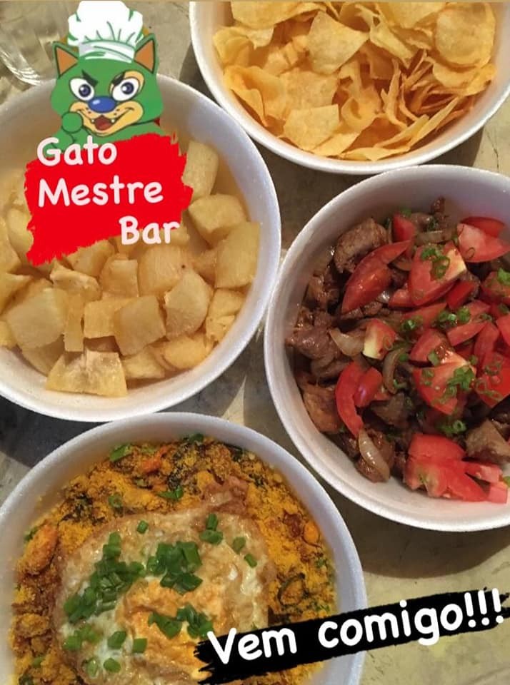 Gato Mestre