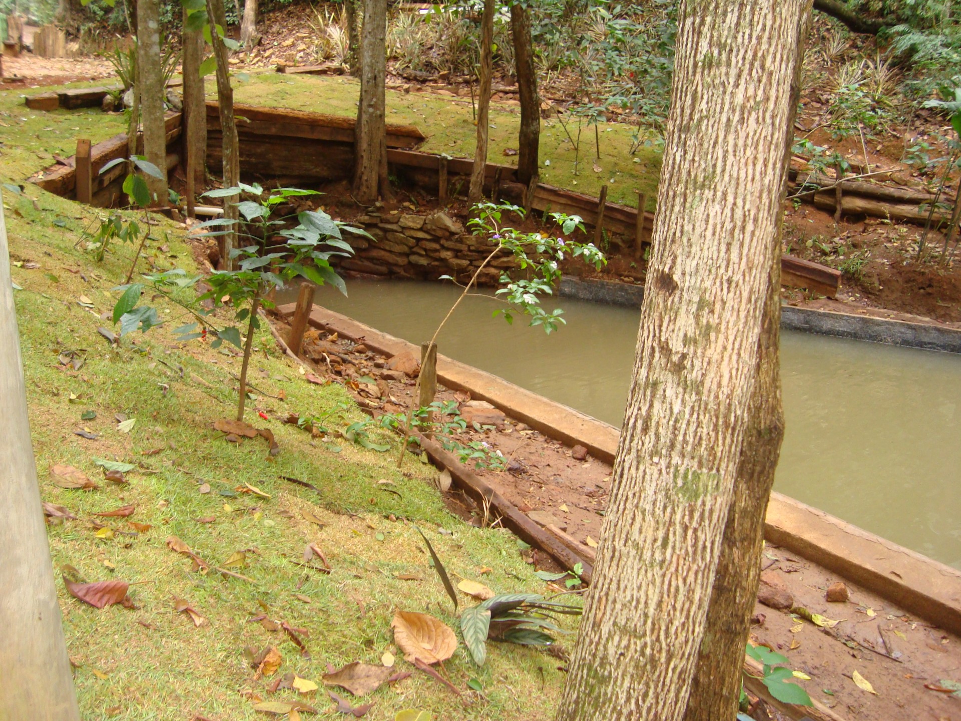 Mãe D'Água