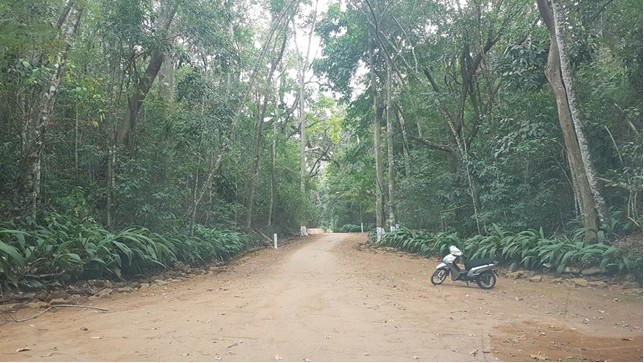 Mãe D'Água
