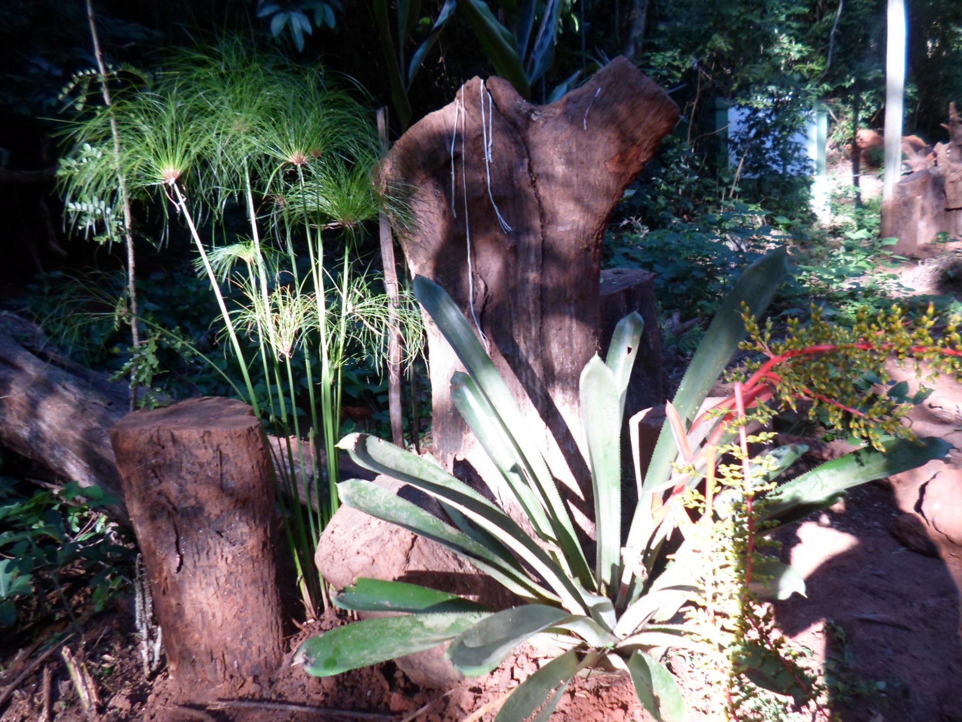 Mãe D'Água
