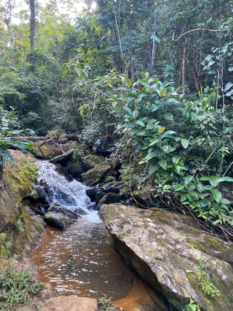 Cachoeira da Alavanca 