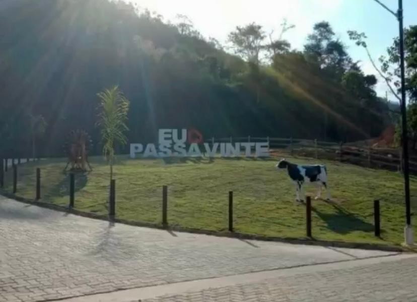 Letreiro eu Amo Passa Vinte