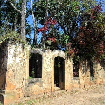 Bairro Matozinhos