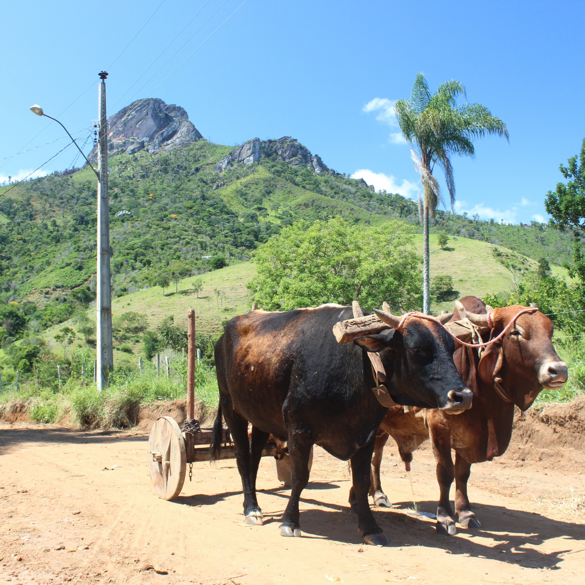 Serra da Gurita - Imagem 4