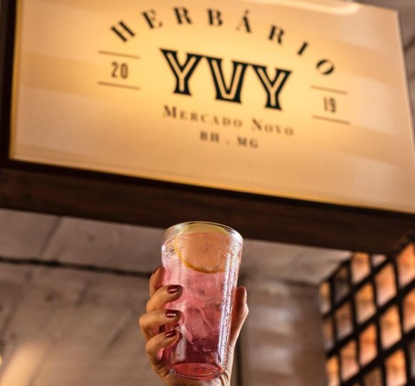 Herbário Yvy 
