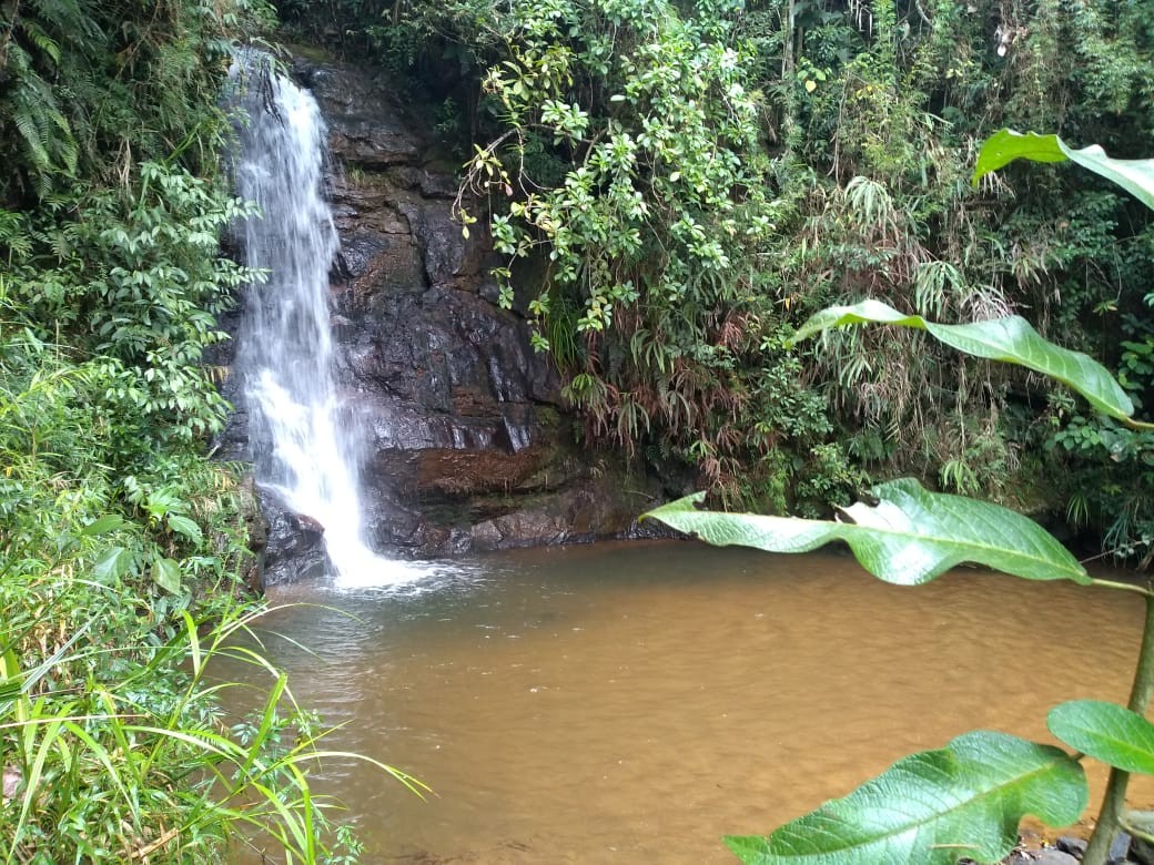 Cachoeira dos Quirinos