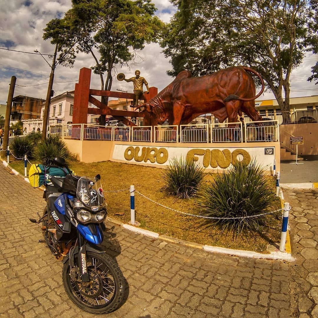 Boi Sem Coração