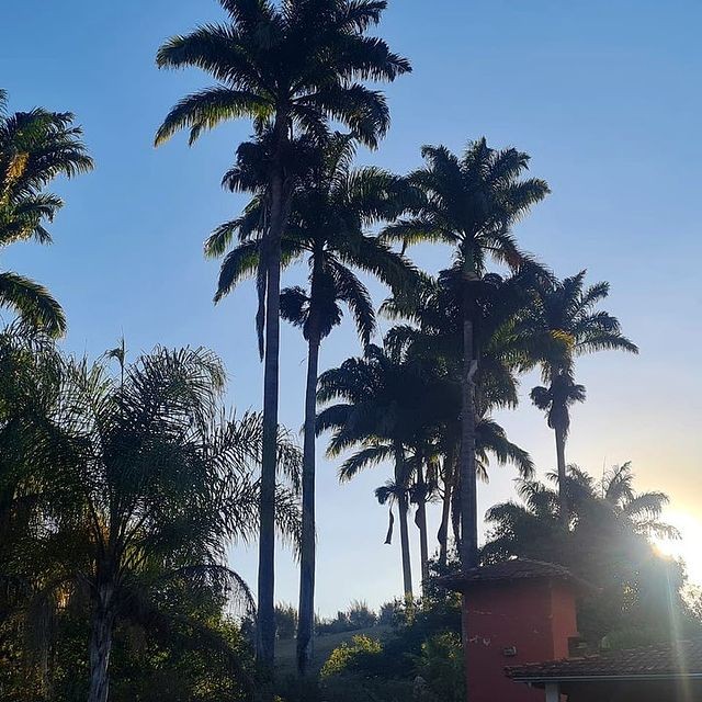 Hotel Fazenda Palmeiras