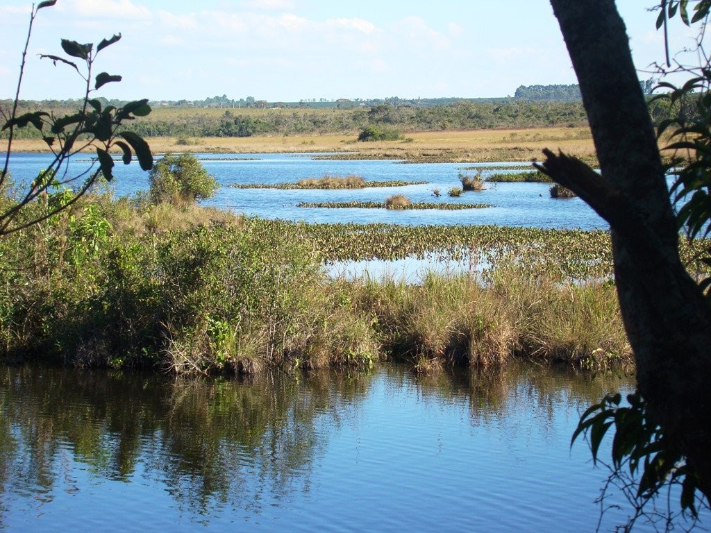 Lagoa do Chapadão de Ferro