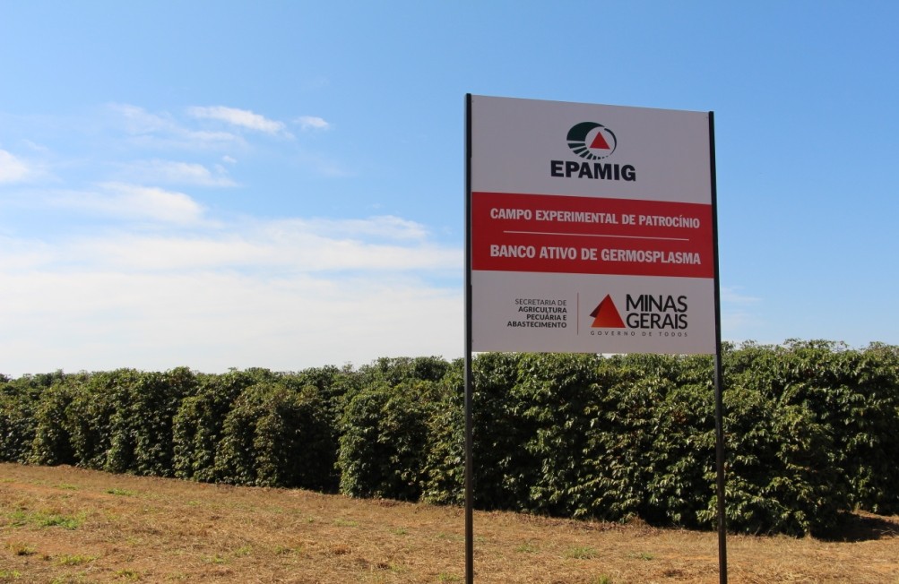 Fazenda da Epamig