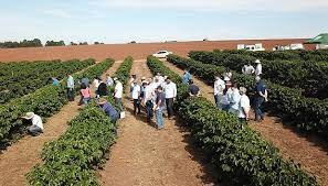 Fazenda da Epamig