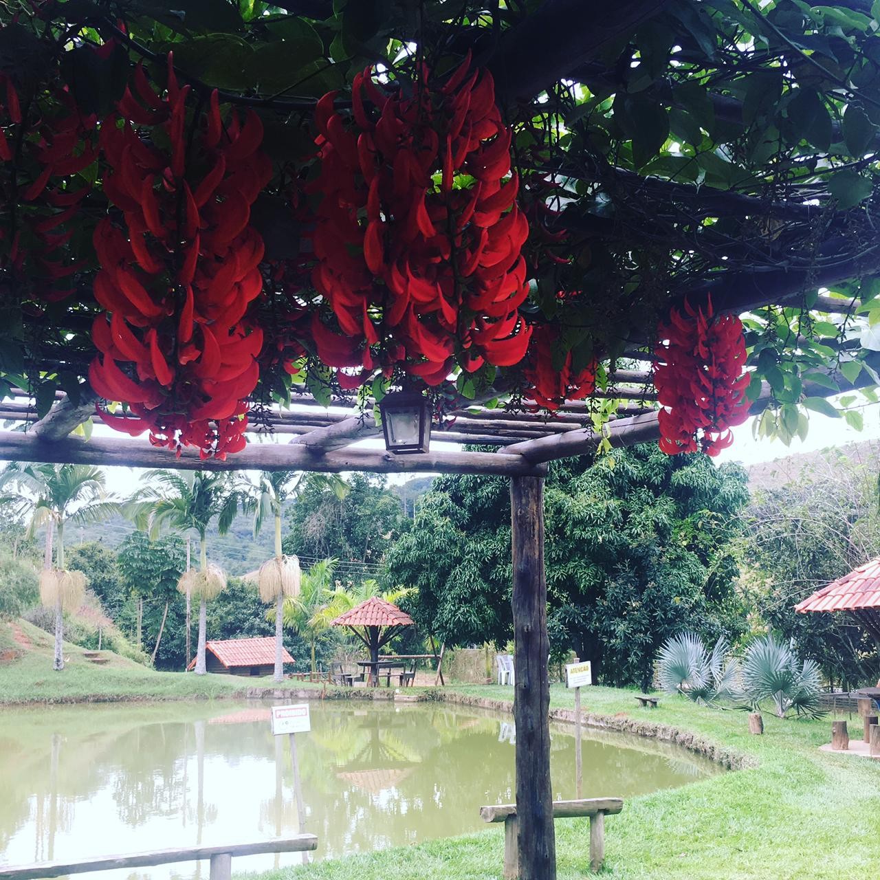 pesque e pague recanto dos amigos