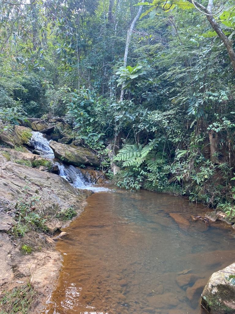 Gruta de Nossa Senhora das Graças
