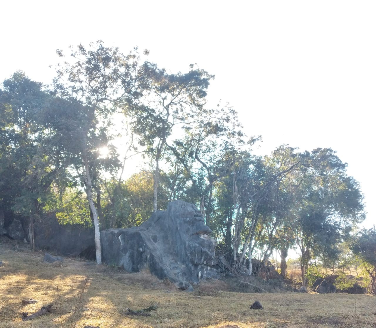 Pedra Cabeça de Macaco