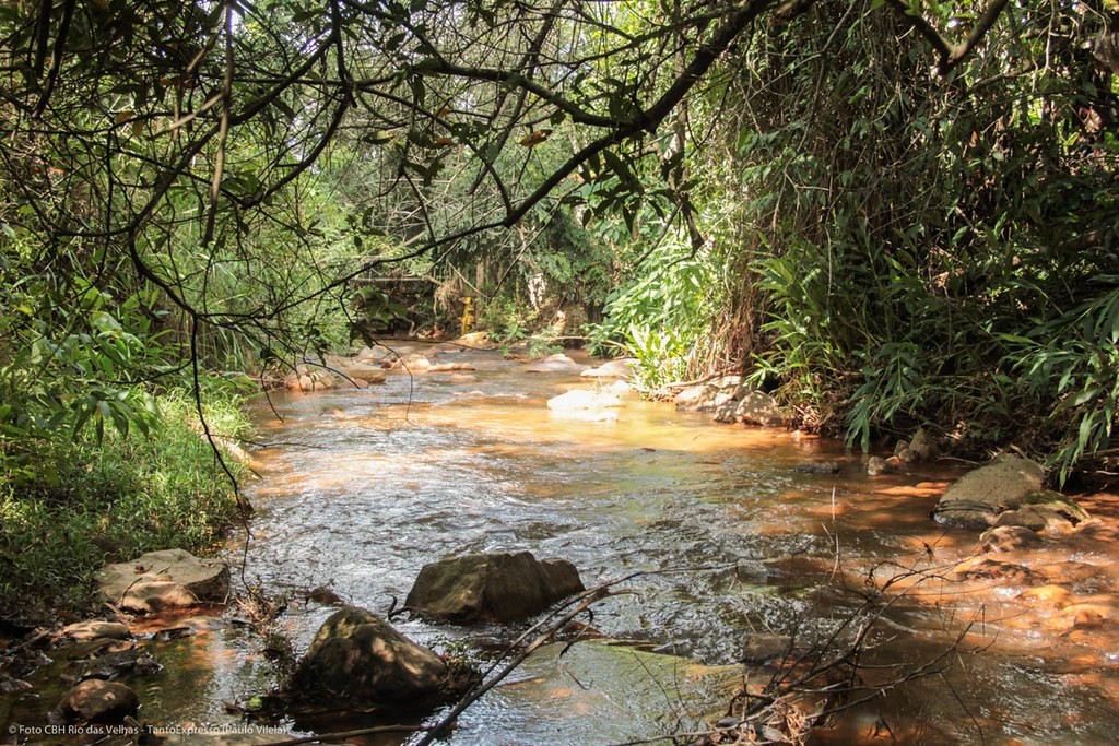Rio das Velhas