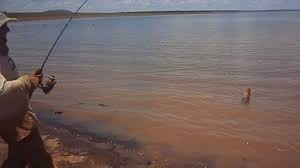 Ilha do Mangabal