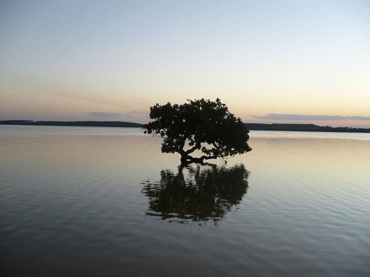 Lago dos Cisnes