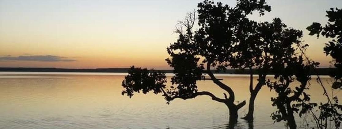 Lago dos Cisnes