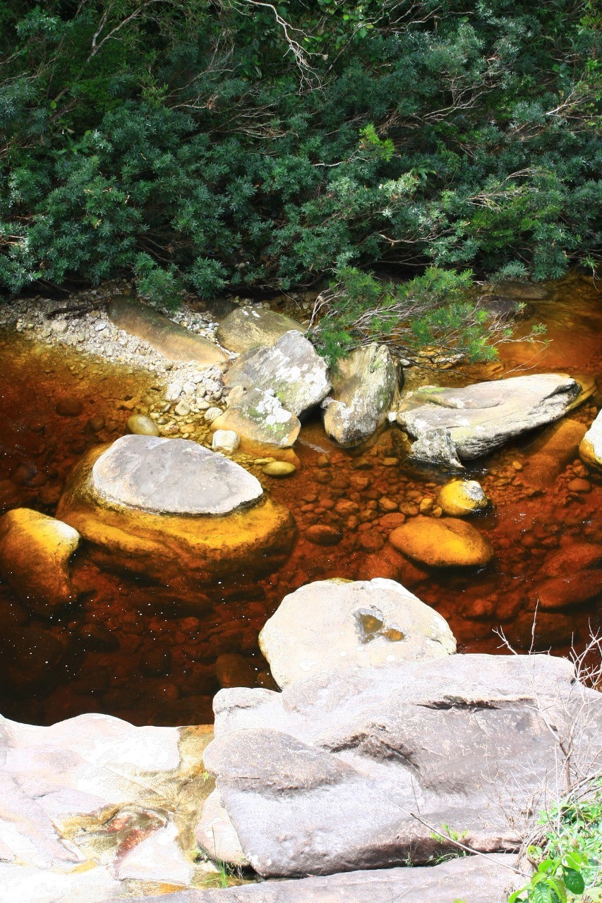 Rio Preto 