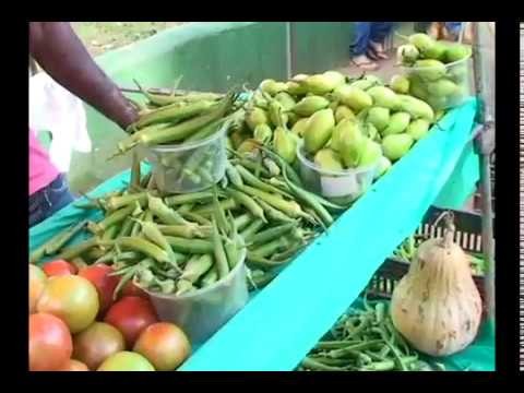 Feira de Sabado